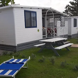  Camping Mare